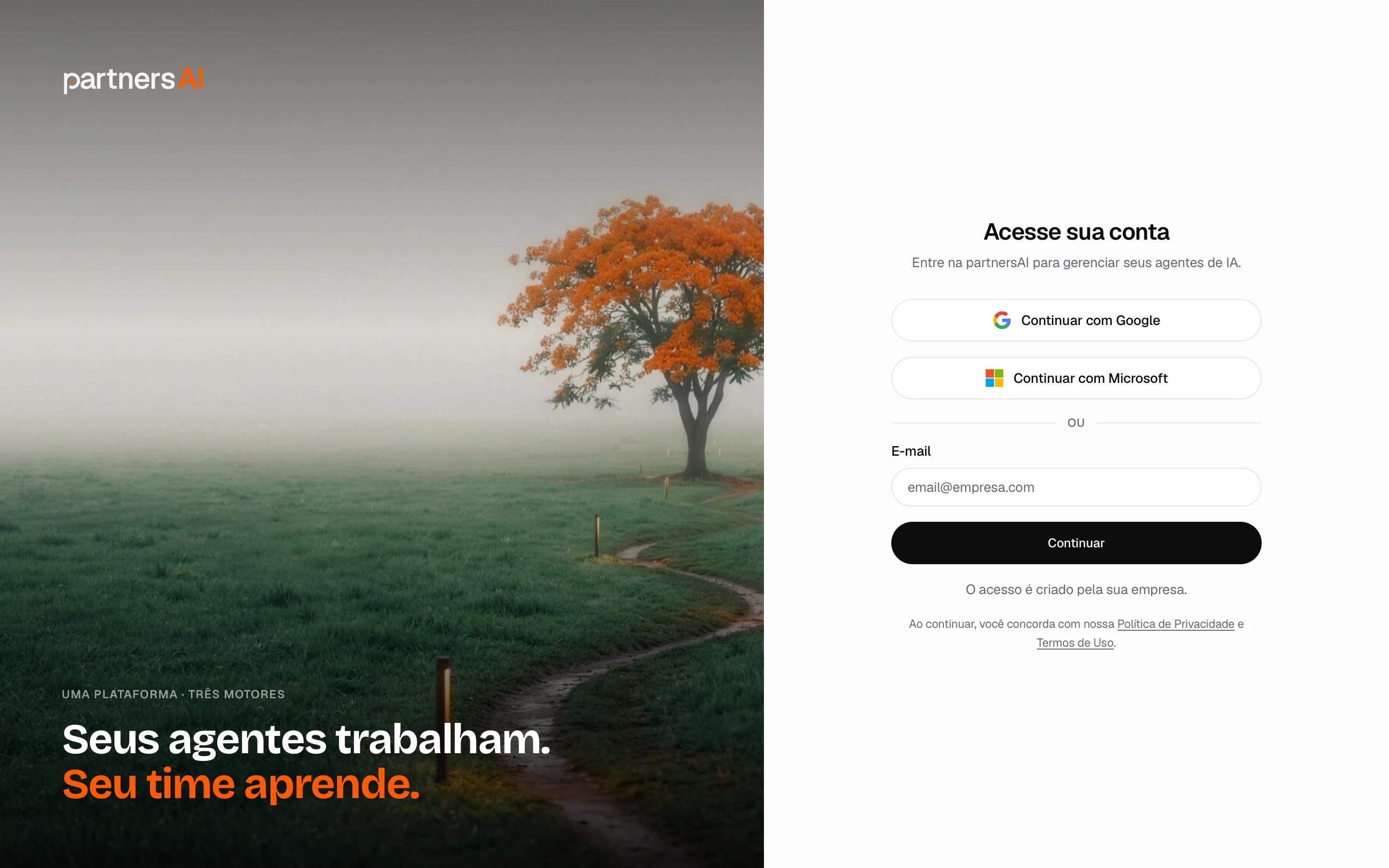 Tela de login da plataforma: o acesso é criado pela sua empresa, entre com o e-mail do convite