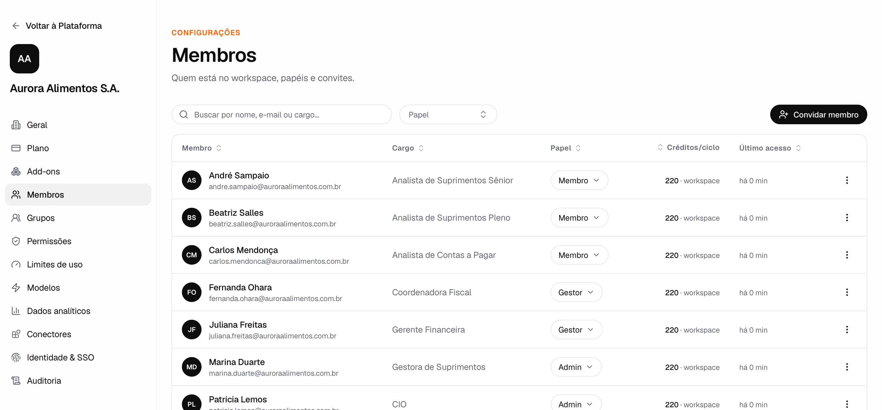 Membros do workspace, com cargo, papel e créditos por pessoa
